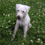 Foto: od klientky