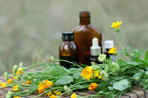 Akutní homeopatie brno