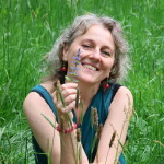 Homeopatie, kineziologie