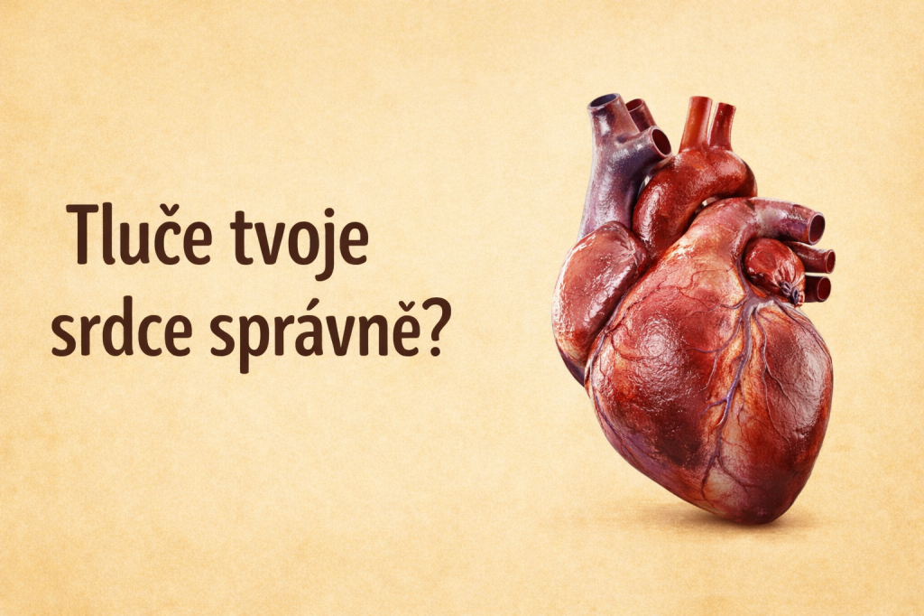 Reálné lidské srdce s otázkou Tluče tvoje srdce správně – léčivá pohádka pro maminky